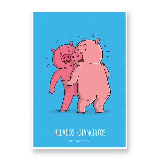 Lámina pillados chanchitos